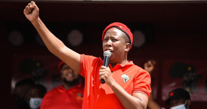 Julius Malema EFF Julius Malema