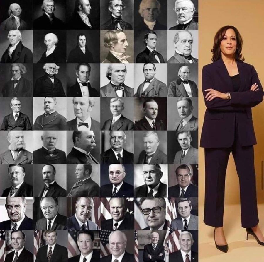 kamala harris vice president men
