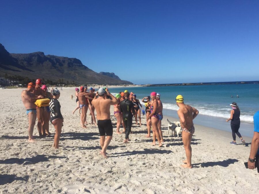 polar bears cape town swimmers 3