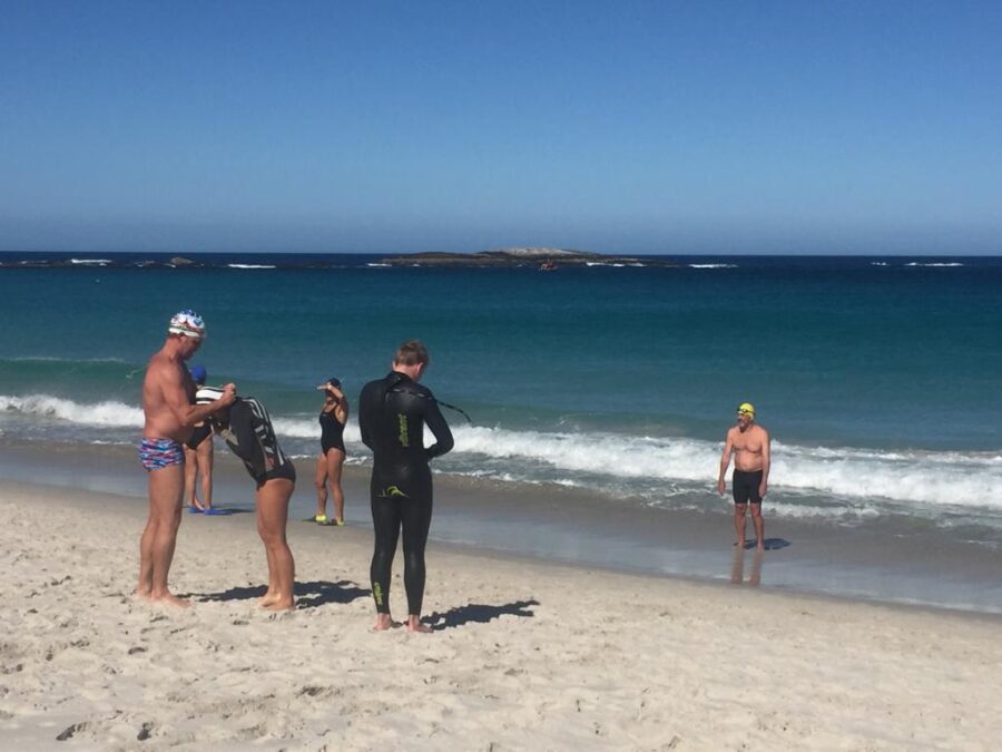 polar bears cape town swimmers 3