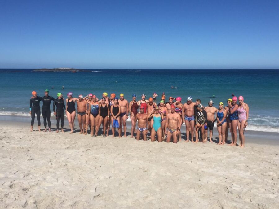 polar bears cape town swimmers 3