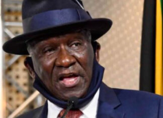 south africa minister cele