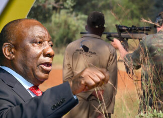 president-ramaphosa-alleged-links-trophy-hunting