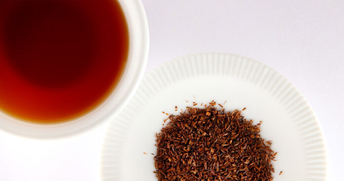 rooibos-tea-possible-covid-19-treatment Rooibos has shown potential for Covid-19 treatment. Many South Africans use traditional medicine