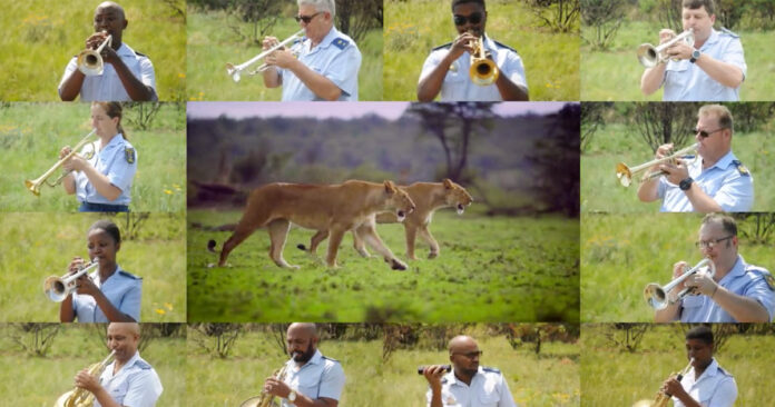 sa-airforce-and-saps-bands-africa-toto sa-airforce-and-saps-bands-africa-toto