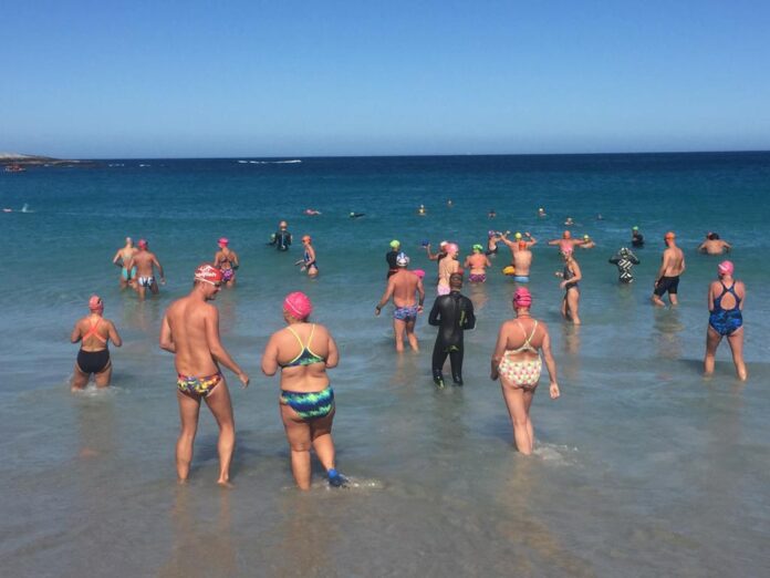 swimming cold cape town polar bears cape town swimmers 3