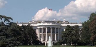 us elections carte blanche