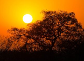 Missing man found Kruger National Park