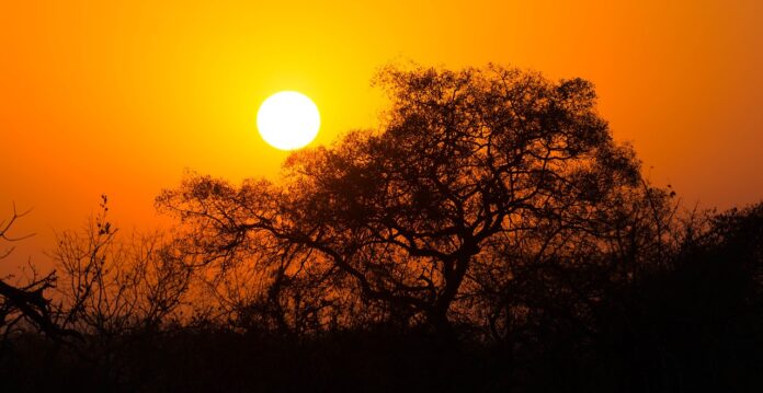 Missing man found Kruger National Park Missing man found Kruger National Park