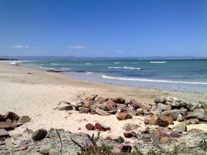 Kouga beaches DA Awaiting Judgment on Garden Route Beach Closures beaches eastern cape