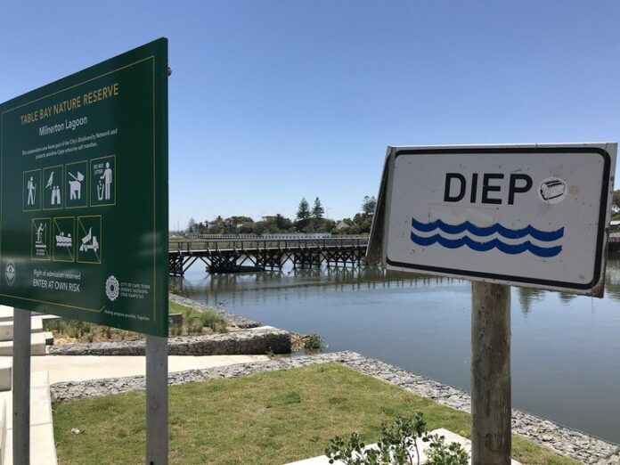 Milnerton Lagoon gup New water tests conducted by activists from the Organisation Undoing Tax Abuse show that Potsdam Wastewater Treatment Works in Milnerton is discharging effluent with high levels of E.coli. This is in direct contradiction to tests done by the City of Cape Town. Archive photo: Steve Kretzmann