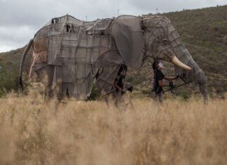 Barrydale will celebrate ten years of puppetry with ‘Reboot Eden’, four short films with nature themes, and our human connection with it. Photos: Ashraf Hendricks
