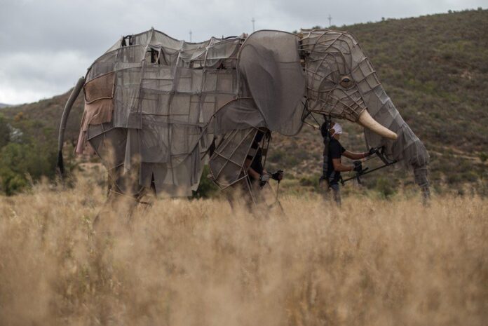 barrydale_puppet-elephant-76hr_huge Barrydale will celebrate ten years of puppetry with ‘Reboot Eden’, four short films with nature themes, and our human connection with it. Photos: Ashraf Hendricks