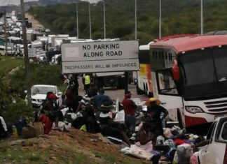 Dr Mkhize Urged to Resolve Beitbridge Backlog After Tragic Fatalities