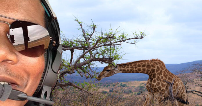 david-simelane-kruger-black-pilot-th SANParks Celebrates South Africa's First Black Game Capture Pilot, Captain David Simelane