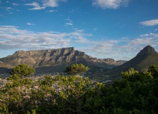 Table Mountain, Lions Head