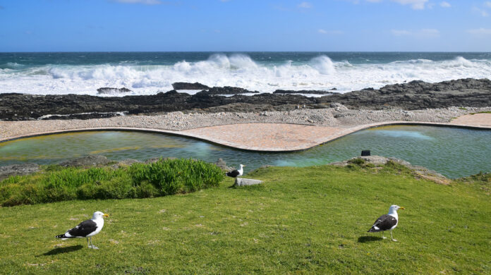 knysna-tsitsikamma-iStock-1291036833-th DA Goes to Court to Overturn Closure of Garden Route Beaches