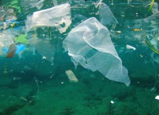 plastic items that most kill whales, dolphins, turtles and seabirds