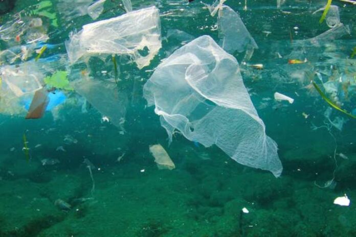 plastic plastic items that most kill whales, dolphins, turtles and seabirds