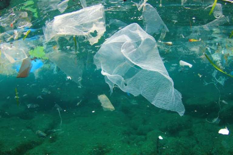 plastic items that most kill whales, dolphins, turtles and seabirds