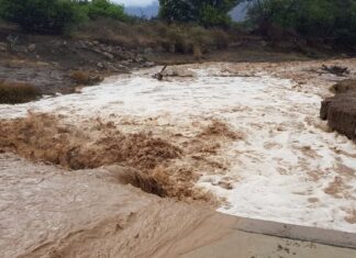 rainfall eastern cape dam levels
