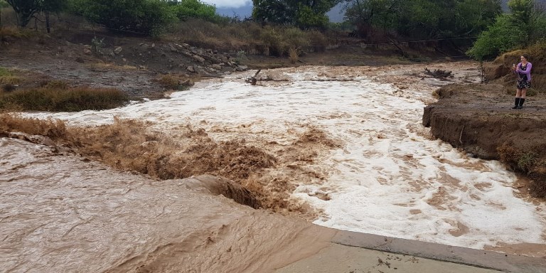 rainfall eastern cape dam levels