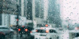 rainfall south africa wet Christmas