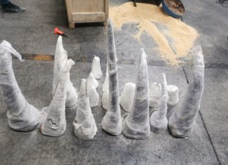 Rhino Poaching Suspect Sought After 17 Horns Confiscated in Kempton Park
