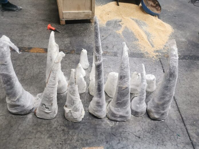 Rhino Poaching Suspect Sought After 17 Horns Confiscated in Kempton Park