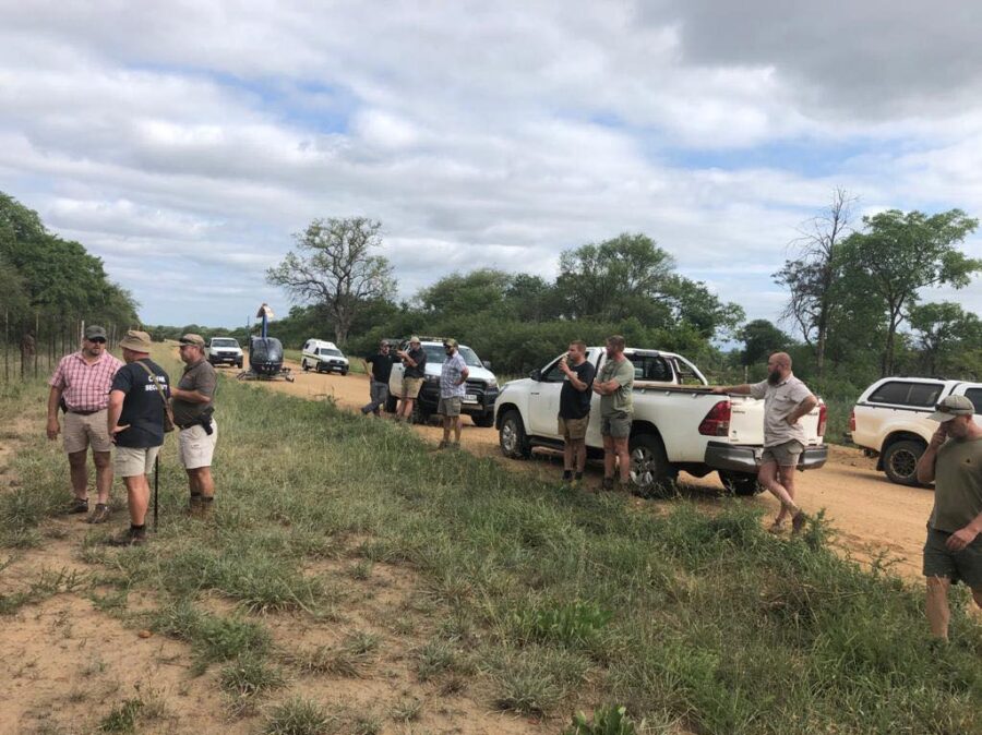 rhino poachers shootout