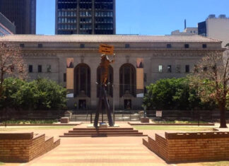 City of Joburg library