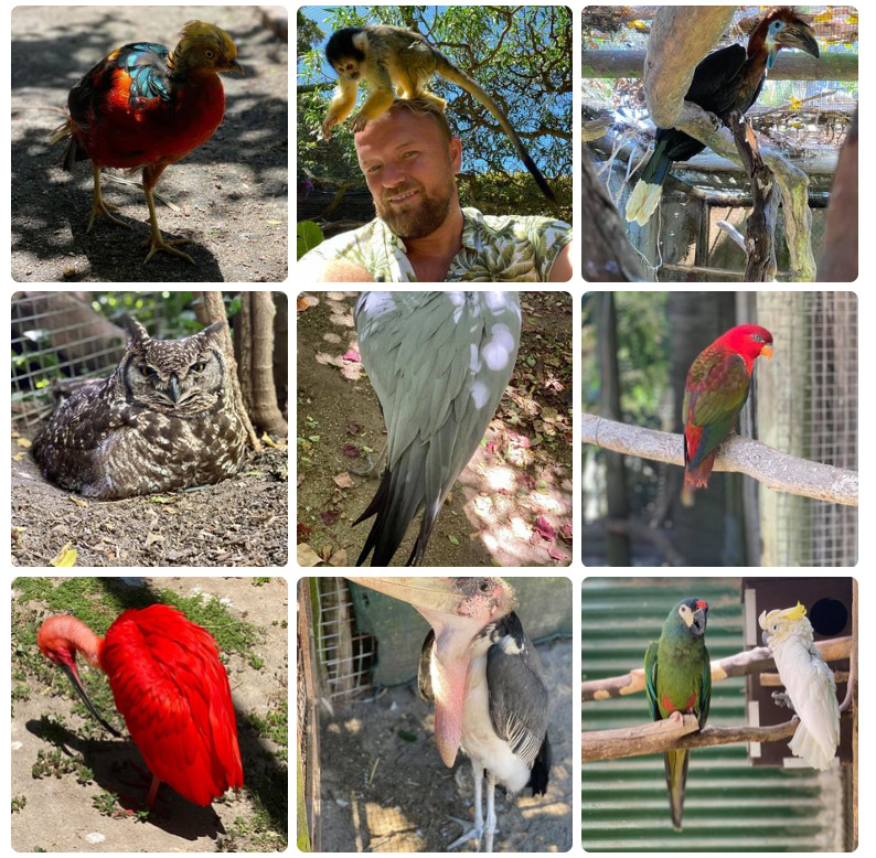 world of birds south africa