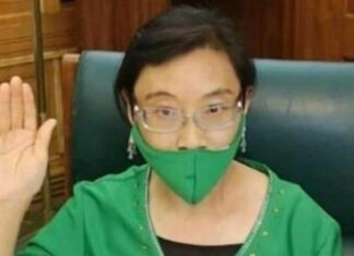 Xiaomei-Havard-Parliament-2