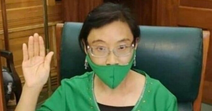 Xiaomei-Havard-Parliament-2 Xiaomei-Havard-Parliament-2