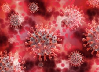 Image of SARS-CoV-2 virus by Image by Gerd Altmann from Pixabay