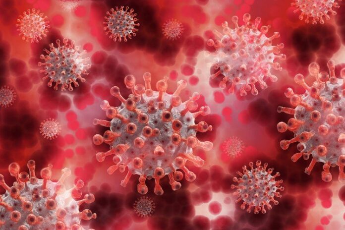 corona-5174671_1920_extra_large Image of SARS-CoV-2 virus by Image by Gerd Altmann from Pixabay