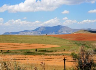 Free State farm attack