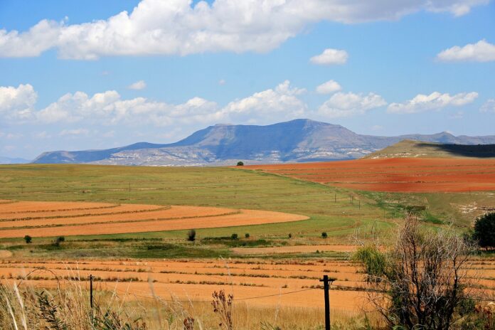 free state farm attack Free State farm attack