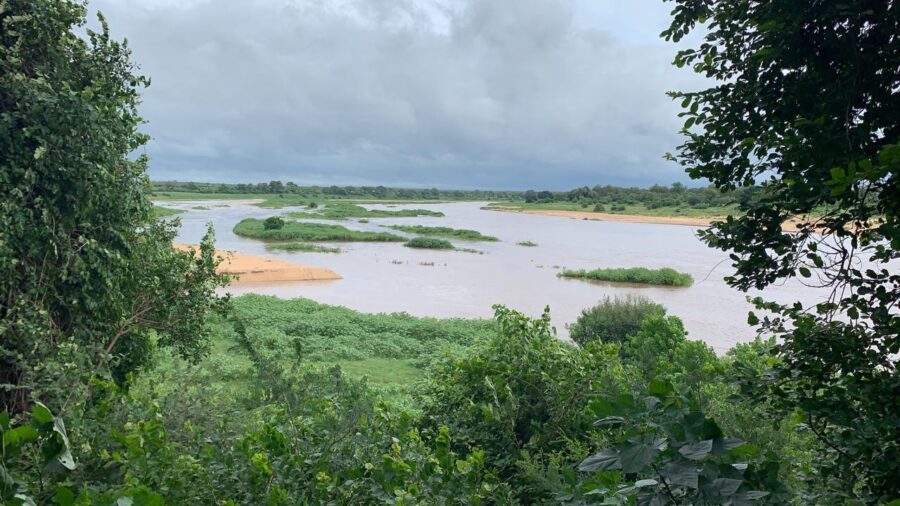 punda maria area kruger cyclone eloise