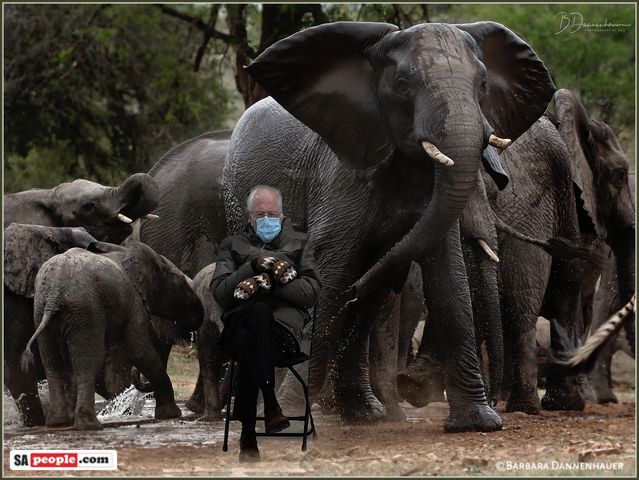 south-african-bernie-sanders sanders-meme 2