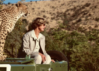 Renowned Cheetah Conservationist, Ann van Dyk, Dies