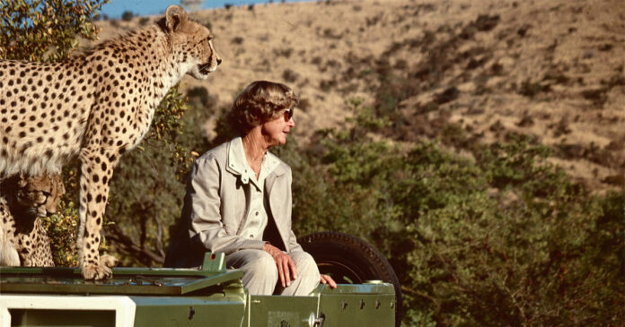 Ann-van-Dyk-cheetah-centre Renowned Cheetah Conservationist, Ann van Dyk, Dies