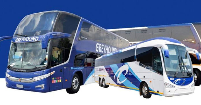 Greyhound-closes-down-South-Africa Greyhound Announces Closure. Calls for Transport Minister to Intervene