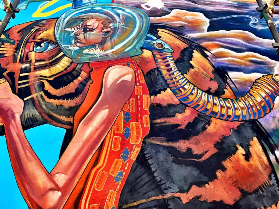 Street Art Festival in Cape Town