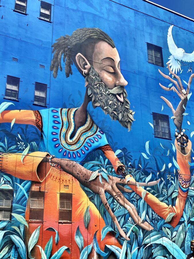 International Public Art Festival in Salt River