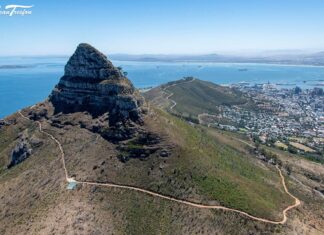 Lion's Head