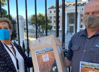DA Receives 85,000 Objections to Expropriation Bill