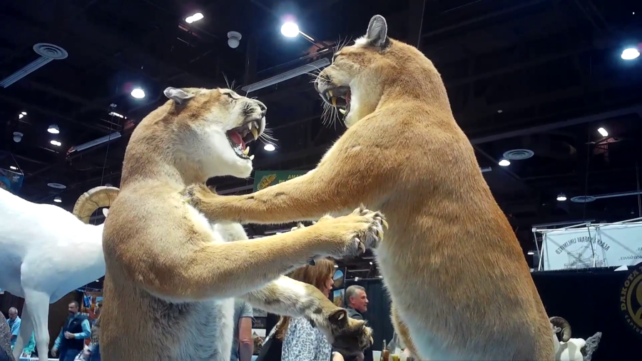 Safari Club International's annual convention in Reno, Nevada.