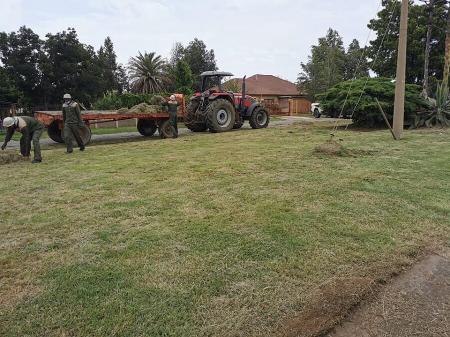 senekal gardens cleaned