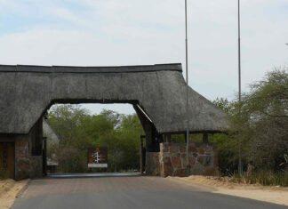 skukuza Kruger National Park